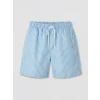 LCW SWIMWEAR Mavi Kısa Boy Çizgili Erkek Deniz Şortu