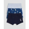 LCW Kids Lacivert Erkek Çocuk 3lü Boxer