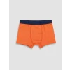 LCW Kids Mavi Erkek Çocuk 3lü Boxer