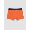 LCW Kids Mavi Erkek Çocuk 3lü Boxer