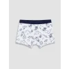 LCW Kids Mavi Erkek Çocuk 3lü Boxer