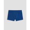 LCW Kids Lacivert Baskılı Erkek Çocuk 3lü Boxer