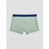 LCW Kids Yeşil Erkek Çocuk Boxer 3lü