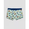 LCW Kids Yeşil Erkek Çocuk Boxer 3lü