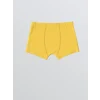 LCW Kids Lacivert Baskılı Erkek Çocuk Boxer 3lü