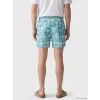 LCW SWIMWEAR Turkuaz Kısa Boy Desenli Erkek Deniz Şortu