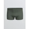 LC WAIKIKI Yeşil Standart Kalıp Pamuklu Esnek Erkek Boxer 3lü