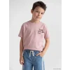 LCW Kids Pembe Bisiklet Yaka Baskılı Erkek Çocuk Tişört