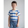 LCW Kids Mavi Bisiklet Yaka Çizgili Erkek Çocuk Tişört