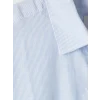 LCW Vision Mavi Regular Fit Çizgili Erkek Gömlek