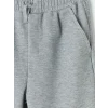 LCW Kids Gri Regular Fit Erkek Çocuk Pantolon