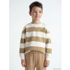 LCW baby Bej Bisiklet Yaka Çizgili Erkek Çocuk Sweatshirt