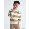 LCW baby Bej Bisiklet Yaka Çizgili Erkek Çocuk Sweatshirt