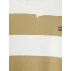 LCW baby Bej Bisiklet Yaka Çizgili Erkek Çocuk Sweatshirt