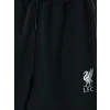 XSIDE ACTIVE Siyah Slim Fit Liverpool Baskılı Erkek Jogger Eşofman Altı