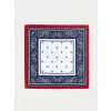 LCW ACCESSORIES Mavi Desenli Kadın Bandana