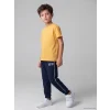 LCW Kids Lacivert Erkek Çocuk Baskılı Şeritli Eşofman Altı