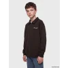 LCW Kids Kahverengi Polo Yaka Nakışlı Erkek Çocuk Kalın Sweatshirt