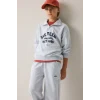 Defacto H9892A8GR400 Gri Regular Fıt Uzun Kollu Dik Yaka Pamuklu Baskılı Sweatshirt Erkek Çocuk