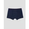 LCW Kids Lacivert Erkek Çocuk 3lü Boxer