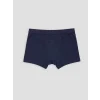 LCW Kids Lacivert Erkek Çocuk 3lü Boxer