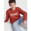 LCW Kids Kahverengi Bisiklet Yaka Sydney Baskılı Erkek Çocuk Sweatshirt
