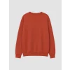 LCW Kids Kahverengi Bisiklet Yaka Sydney Baskılı Erkek Çocuk Sweatshirt