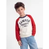 LCW Kids Bej Bisiklet Yaka Renk Bloğu Erkek Çocuk Kalın Sweatshirt
