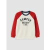 LCW Kids Bej Bisiklet Yaka Renk Bloğu Erkek Çocuk Kalın Sweatshirt