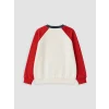 LCW Kids Bej Bisiklet Yaka Renk Bloğu Erkek Çocuk Kalın Sweatshirt