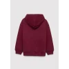 Mavi 6S10143-70394 Mavi Logo Baskılı Kapüşonlu Bordo Sweatshirt