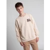 LCW Kids Bej Baskılı Erkek Çocuk Kalın Sweatshirt