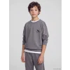 LCW Kids Gri Baskılı Erkek Çocuk Soft Touch Sweatshirt