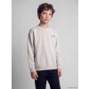 LCW Kids Gri Bisiklet Yaka Erkek Çocuk Kalın Sweatshirt