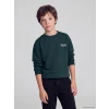 LCW Kids Yeşil Bisiklet Yaka Erkek Çocuk Kalın Sweatshirt