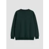 LCW Kids Yeşil Bisiklet Yaka Erkek Çocuk Kalın Sweatshirt