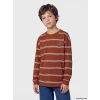 LCW Kids Kahverengi Bisiklet Yaka Çizgili Erkek Çocuk Tişört