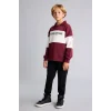 Defacto H8484A8BR115 Bordo Polo Yaka Baskılı Renk Bloklu 2li Takım Erkek Çocuk