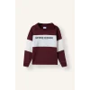 Defacto H8484A8BR115 Bordo Polo Yaka Baskılı Renk Bloklu 2li Takım Erkek Çocuk