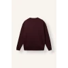 Defacto X8282AZBR150 Bordo Boxy Fit Uzun Kollu Pamuklu Bisiklet Yaka İçi Yumuşak Tüylü Baskılı Sweatshirt