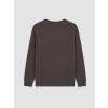 LCWAIKIKI Classic Kahverengi Bisiklet Yaka Erkek Sweatshirt
