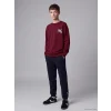 LCW Kids Bordo Bisiklet Yaka Erkek Çocuk Tişört