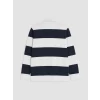 LCW Vision Lacivert Polo Yaka Çizgili Erkek Sweatshirt