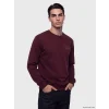 LCWAIKIKI Classic Mürdüm Bisiklet Yaka Baskılı Erkek Sweatshirt