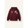 Defacto I3023AXBR98 Bordo Harry Potter Gryffindor Baskılı Kapüşonlu Oversize Fermuarlı Kalın Hırka Sweatshirt