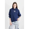 D6885 Coool Oversize Kapüşonlu Basic Sweatshirt