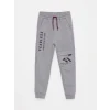 LCW Kids Gri Beli Lastikli Baskılı Erkek Çocuk Jogger Eşofman Altı