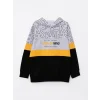 LCW Kids Gri Kapüşonlu Baskılı Uzun Kollu Erkek Çocuk Sweatshirt