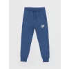 LCW Kids Lacivert Beli Lastikli Baskılı Erkek Çocuk Jogger Eşofman Altı