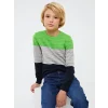 LCW Kids Yeşil Bisiklet Yaka Renk Bloklu Uzun Kollu Erkek Çocuk Triko Kazak